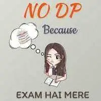 best dp for students